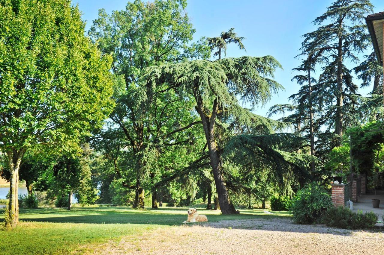 Clos Saint-Blaise Albi Esterno foto